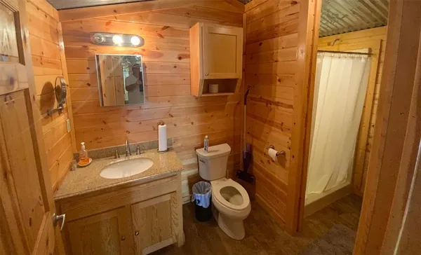 a view of a park with large trees