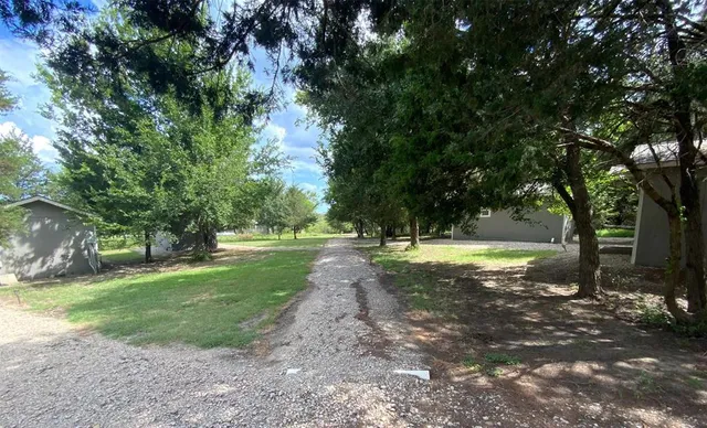 a view of some trees in the forest