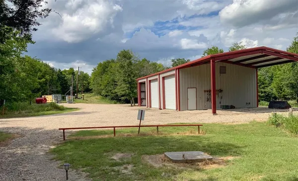 a view of a yard with plants and large trees