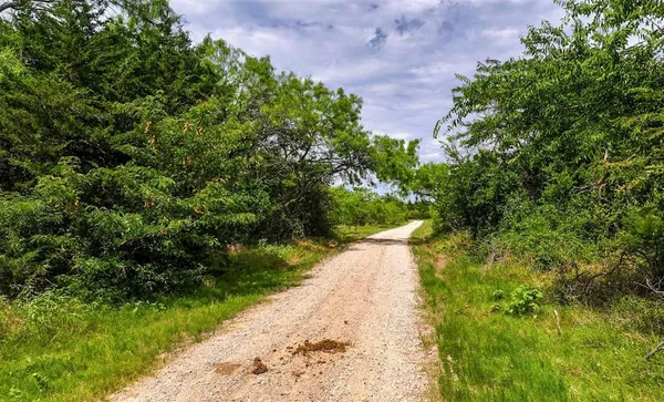 a view of a lush green space