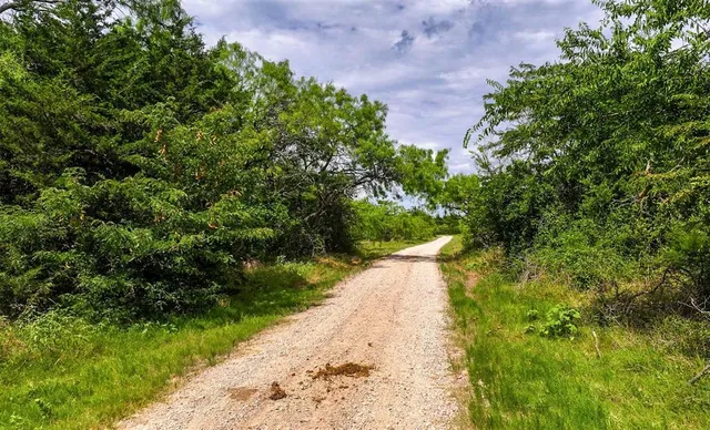 a view of a lush green space