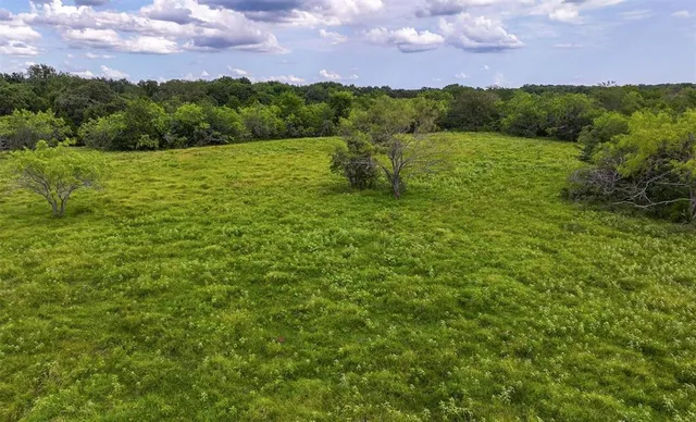 a view of a garden with an empty space