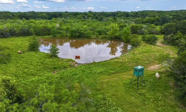 a view of swimming pool from a yard