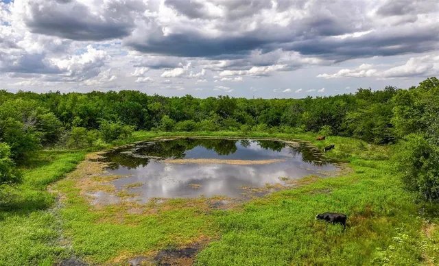 a view of a big yard with lots of green space
