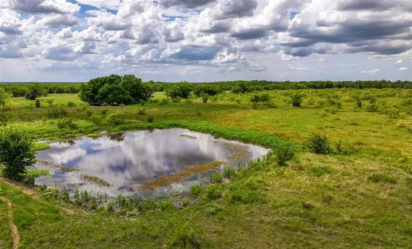 a view of a big yard with large trees