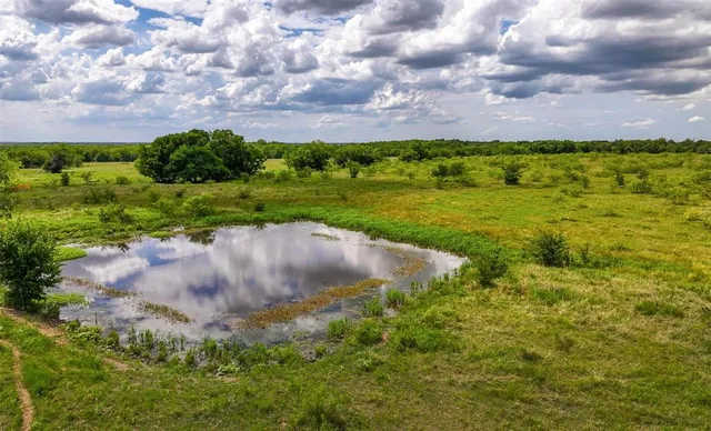 a view of a big yard with large trees