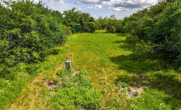 a view of a field with an ocean