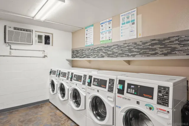 a view of a plant in a garden