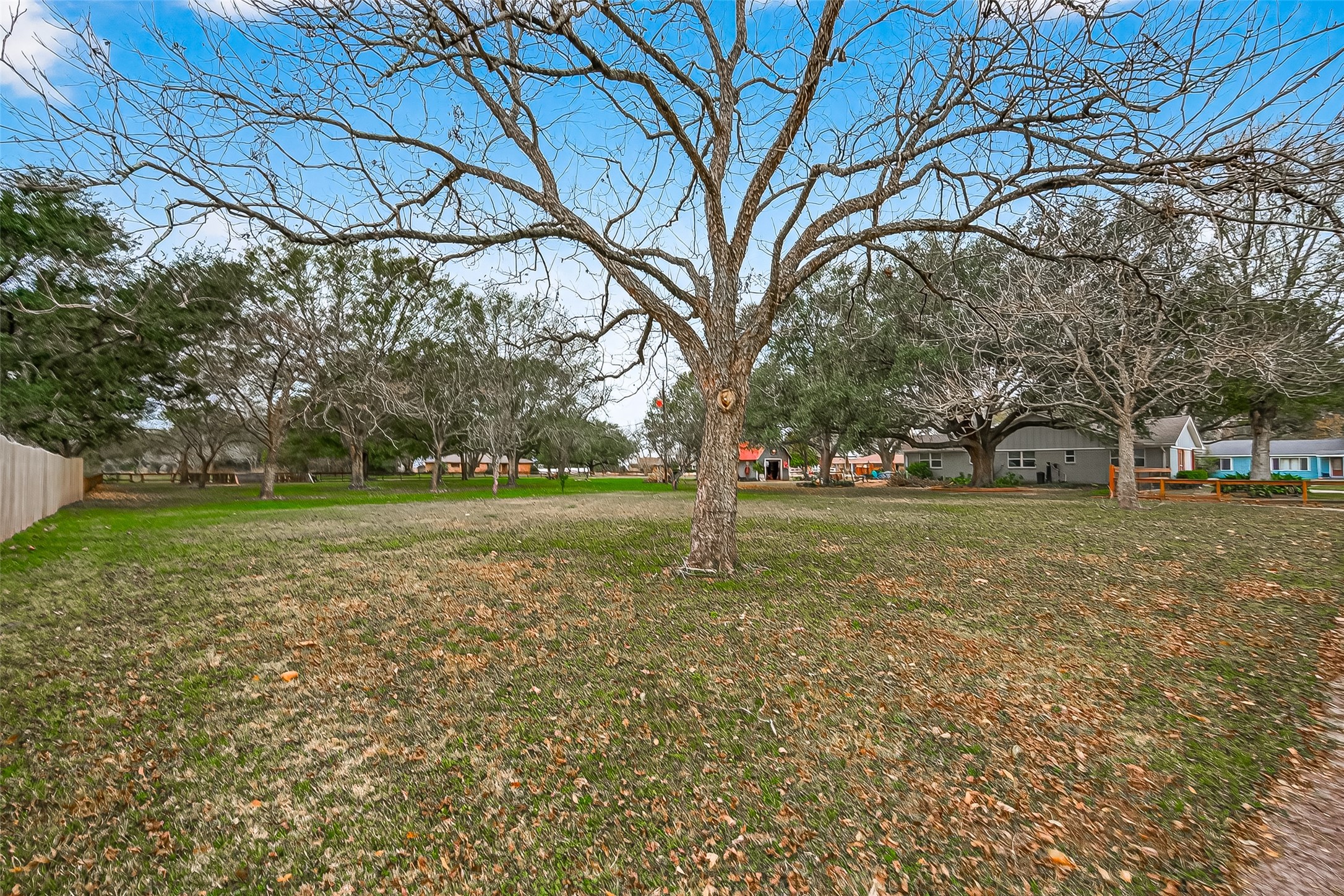 0 Church Street Needville, TX 77461 - Photo 8 of 14 a view of a park with large trees