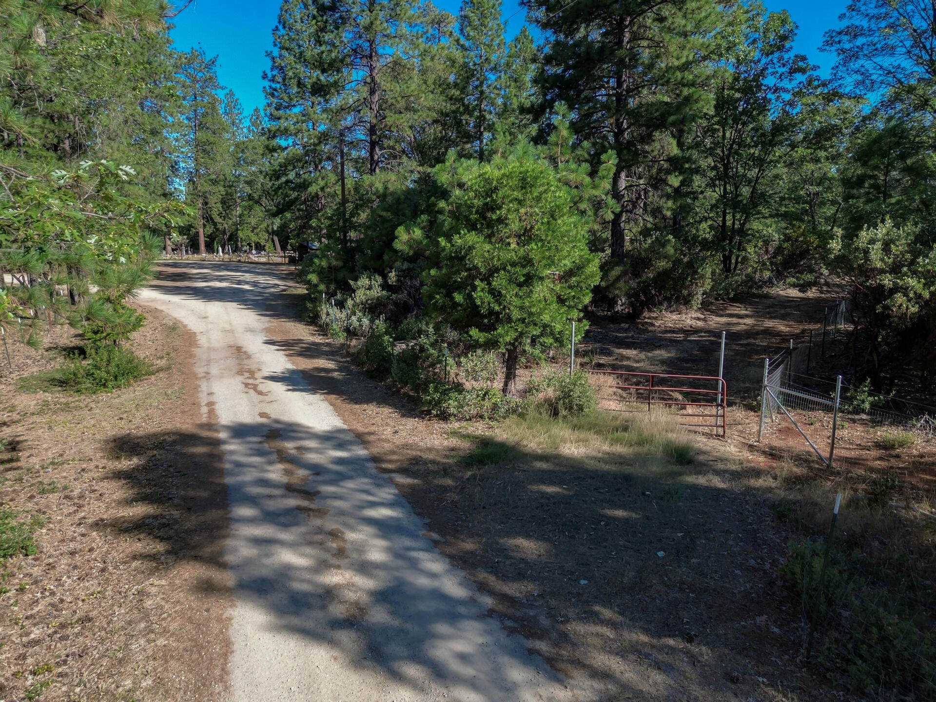9999 Ogburn Inwood Cemetery Road Shingletown, CA 96088 - Photo 2 of 8 ShingletownProperty-20