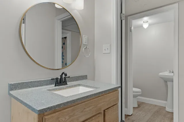 a bathroom with a sink a toilet and a mirror