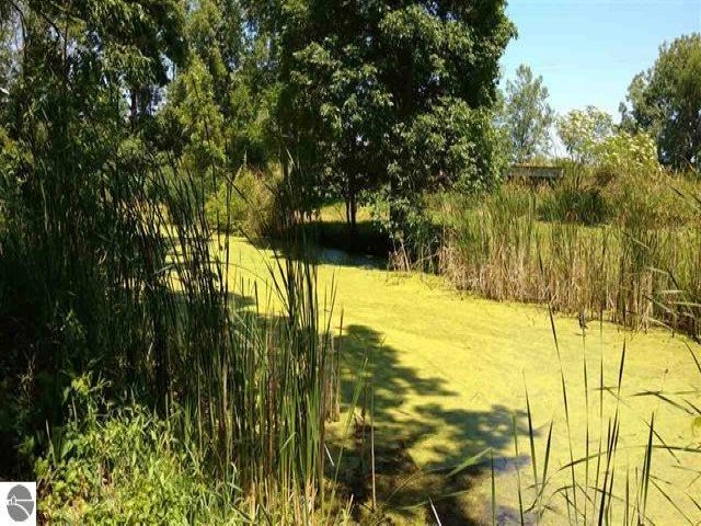 Nka West Whitefeather Road Pinconning, MI 48650 - Photo 3 of 7