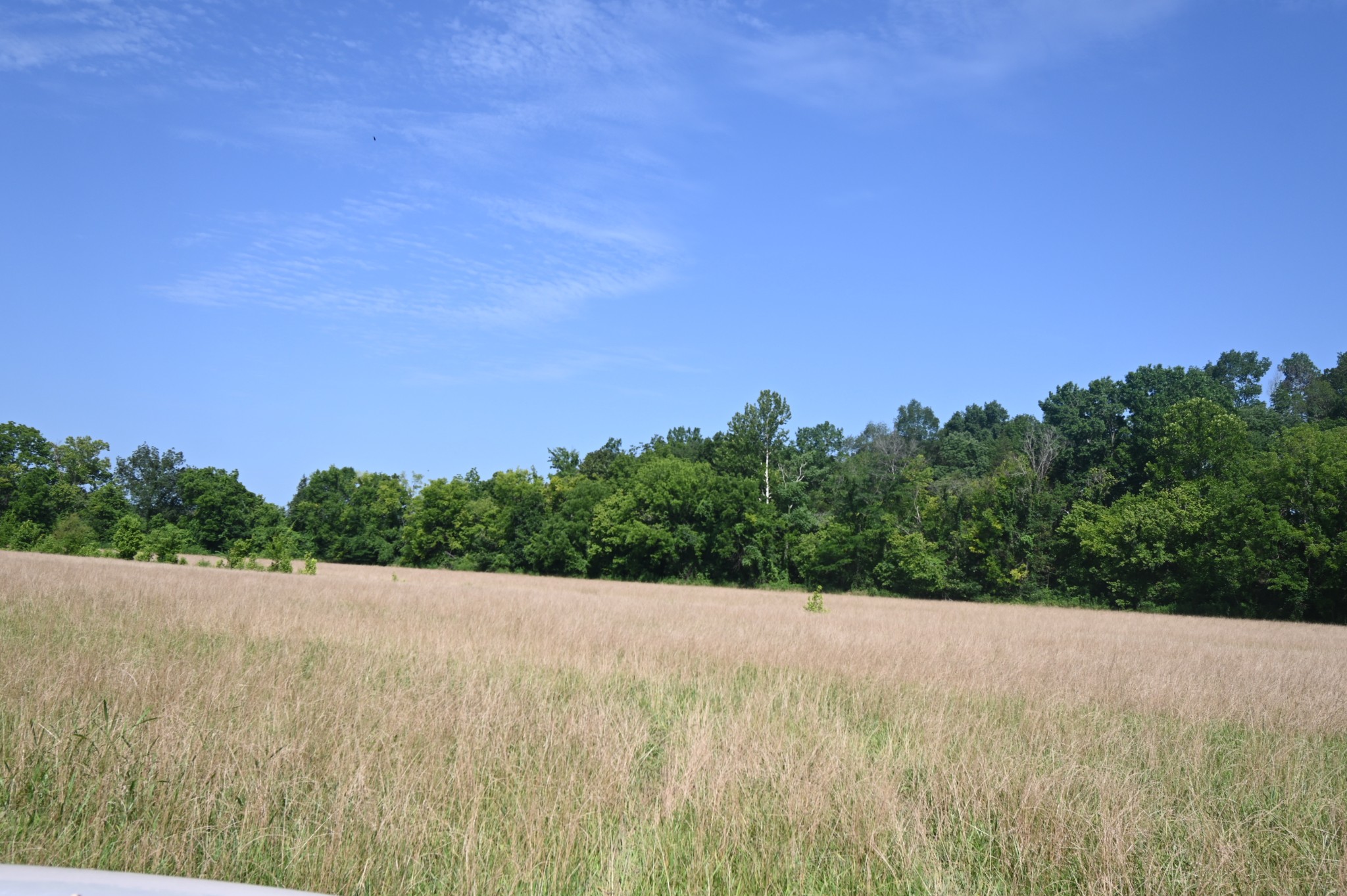 0 Culps Bend Road Clifton, TN 38425 - Photo 27 of 41