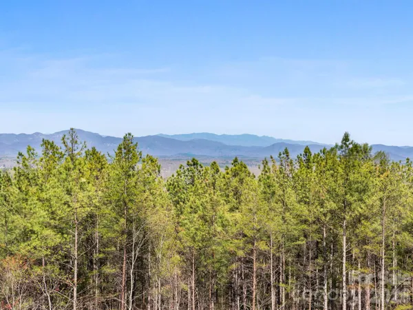 $400,000 | Tbd Williams Lp Trail, Tryon, NC 28782