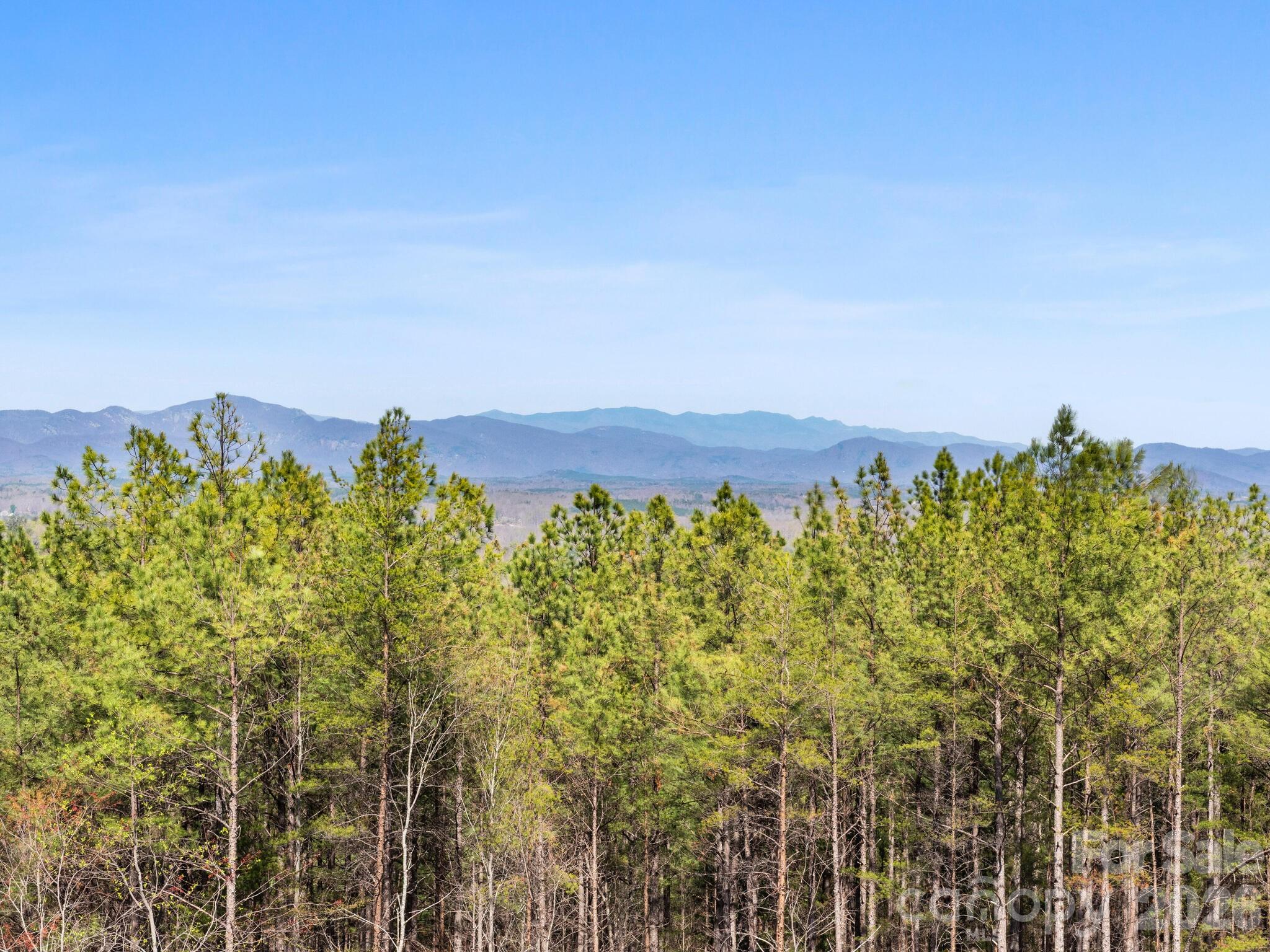 Tbd Williams Lp Trail Tryon, NC 28782 - Photo 11 of 30