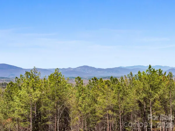 $400,000 | Tbd Williams Lp Trail, Tryon, NC 28782