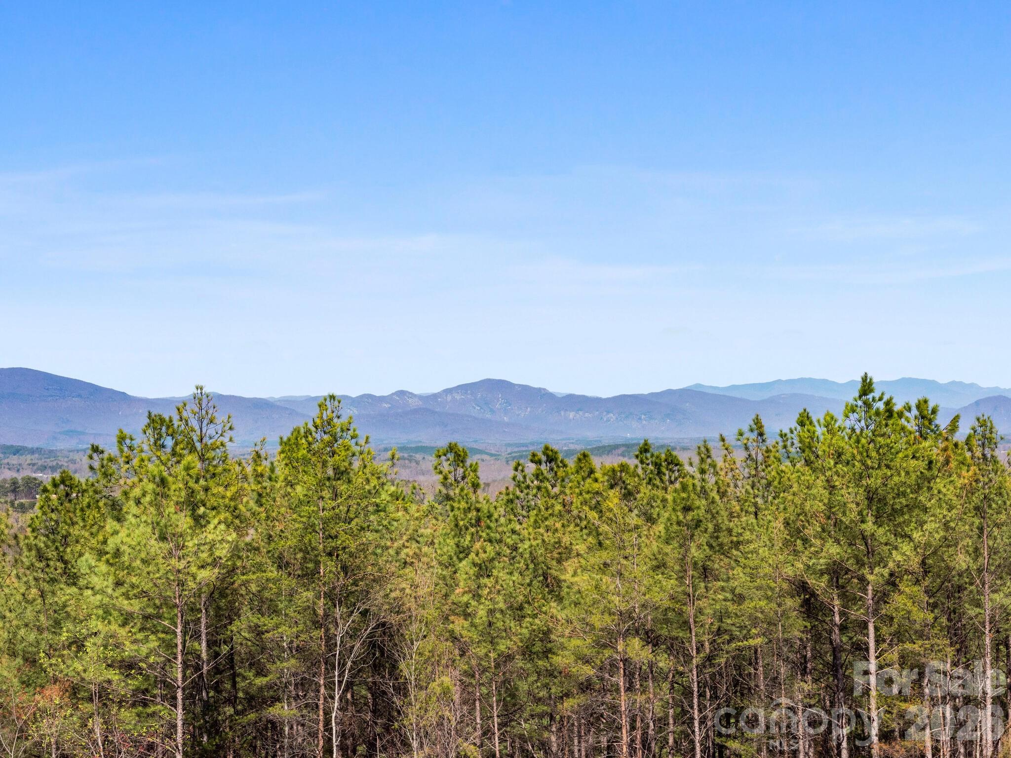 Tbd Williams Lp Trail Tryon, NC 28782 - Photo 13 of 30