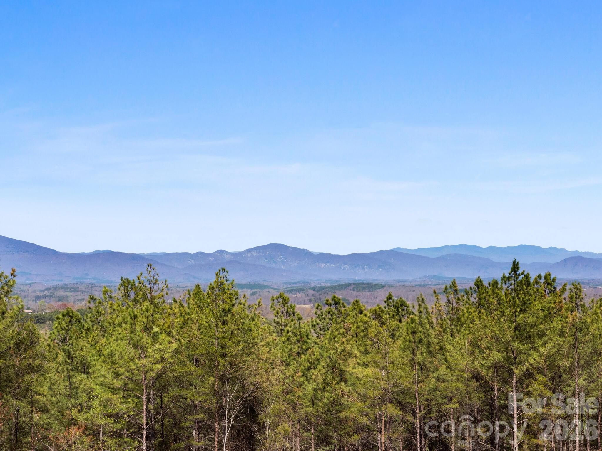 Tbd Williams Lp Trail Tryon, NC 28782 - Photo 14 of 30