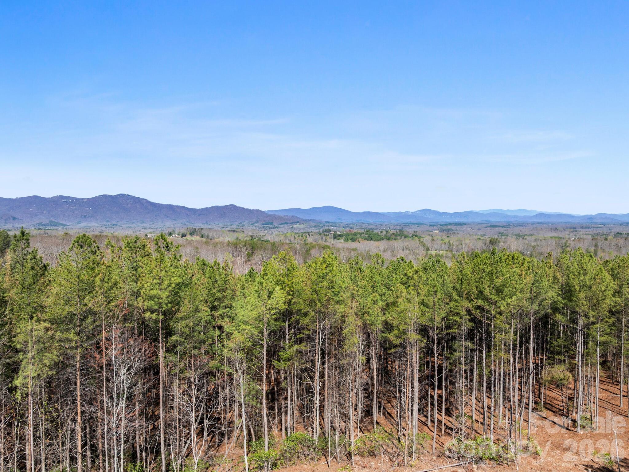 Tbd Williams Lp Trail Tryon, NC 28782 - Photo 15 of 30