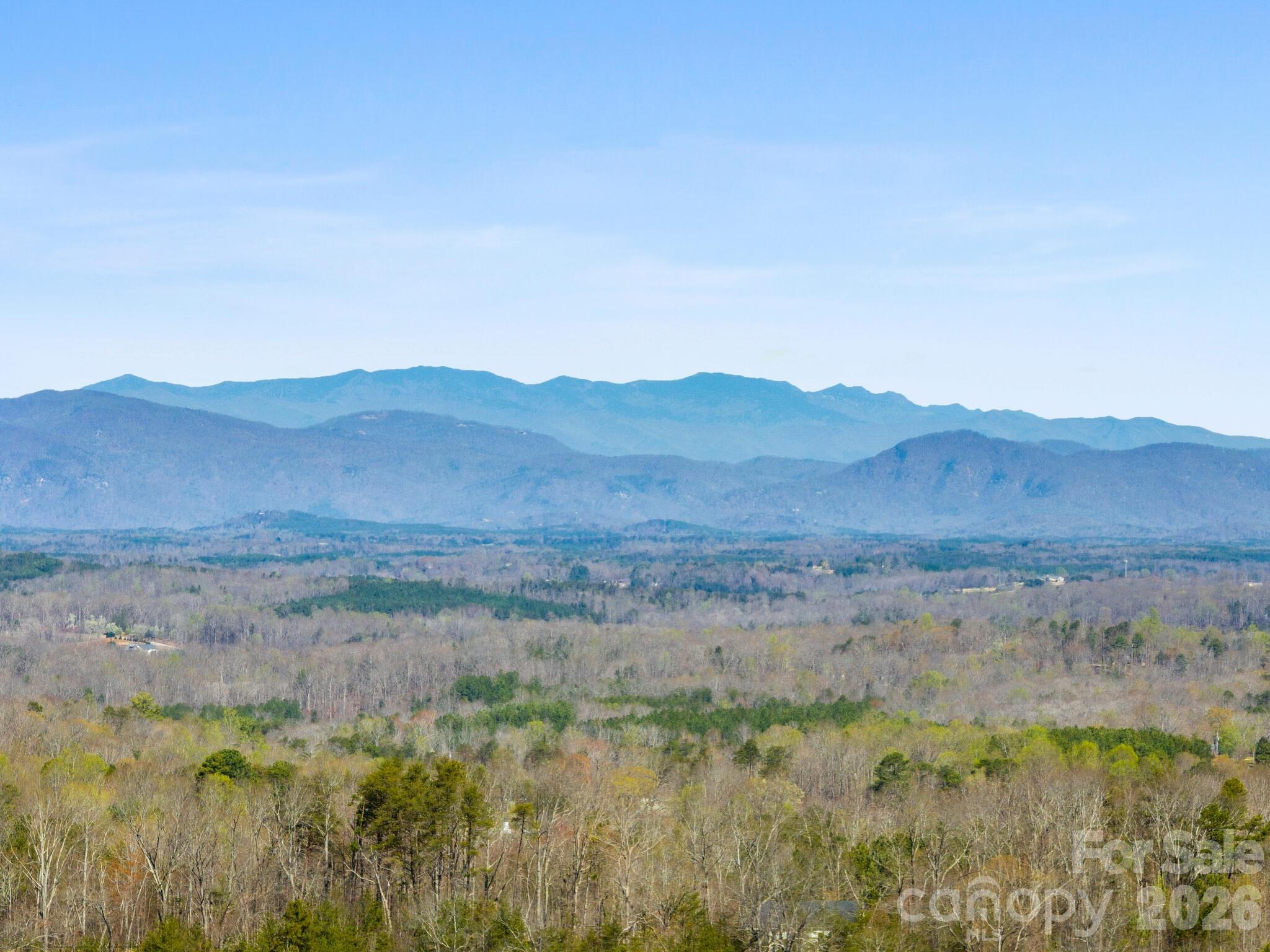 Tbd Williams Lp Trail Tryon, NC 28782 - Photo 16 of 30