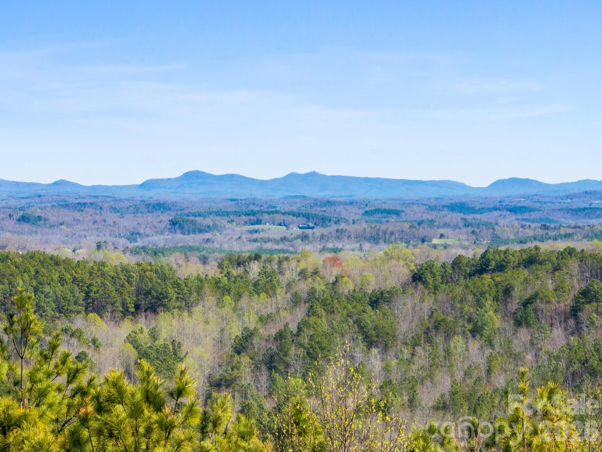 Tbd Williams Lp Trail Tryon, NC 28782 - Photo 19 of 30