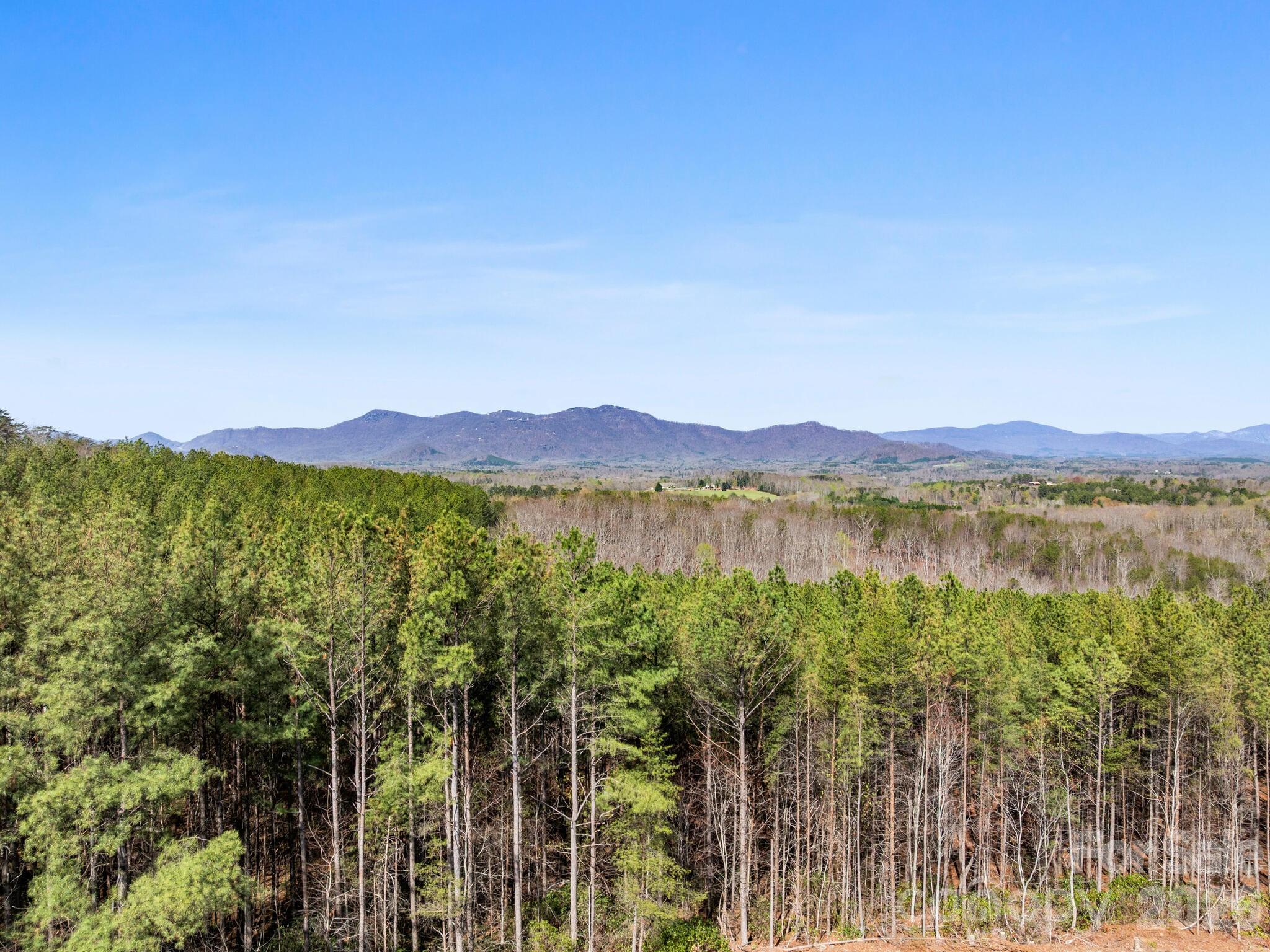 Tbd Williams Lp Trail Tryon, NC 28782 - Photo 20 of 30