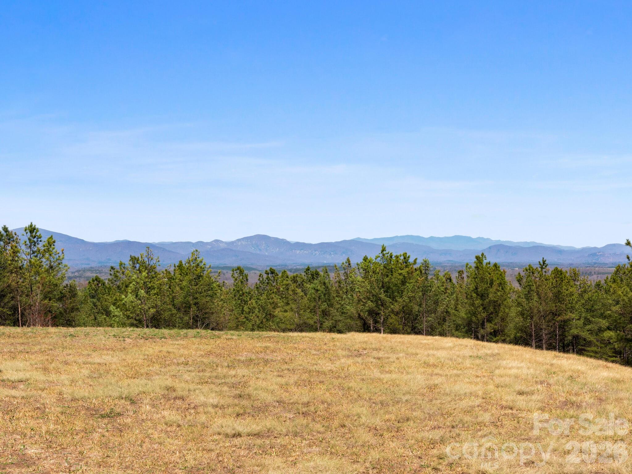 Tbd Williams Lp Trail Tryon, NC 28782 - Photo 2 of 30