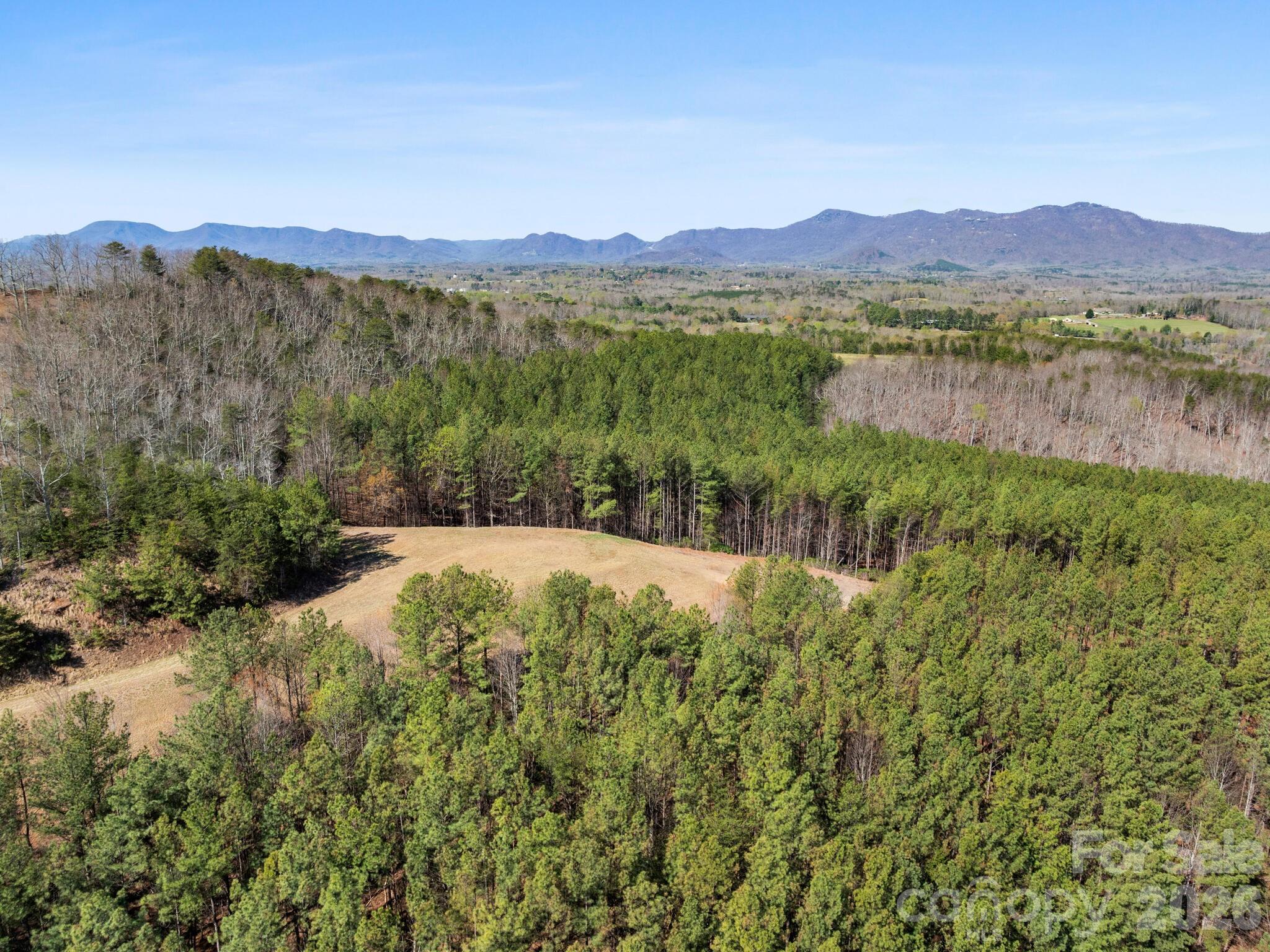 Tbd Williams Lp Trail Tryon, NC 28782 - Photo 21 of 30