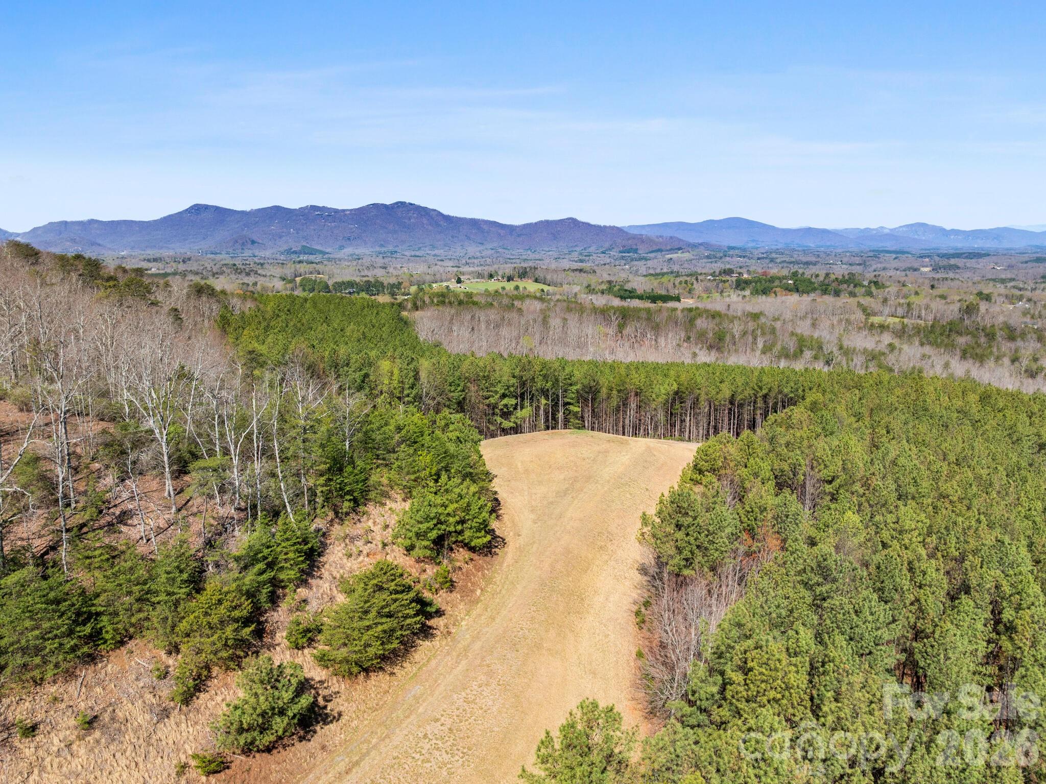 Tbd Williams Lp Trail Tryon, NC 28782 - Photo 22 of 30