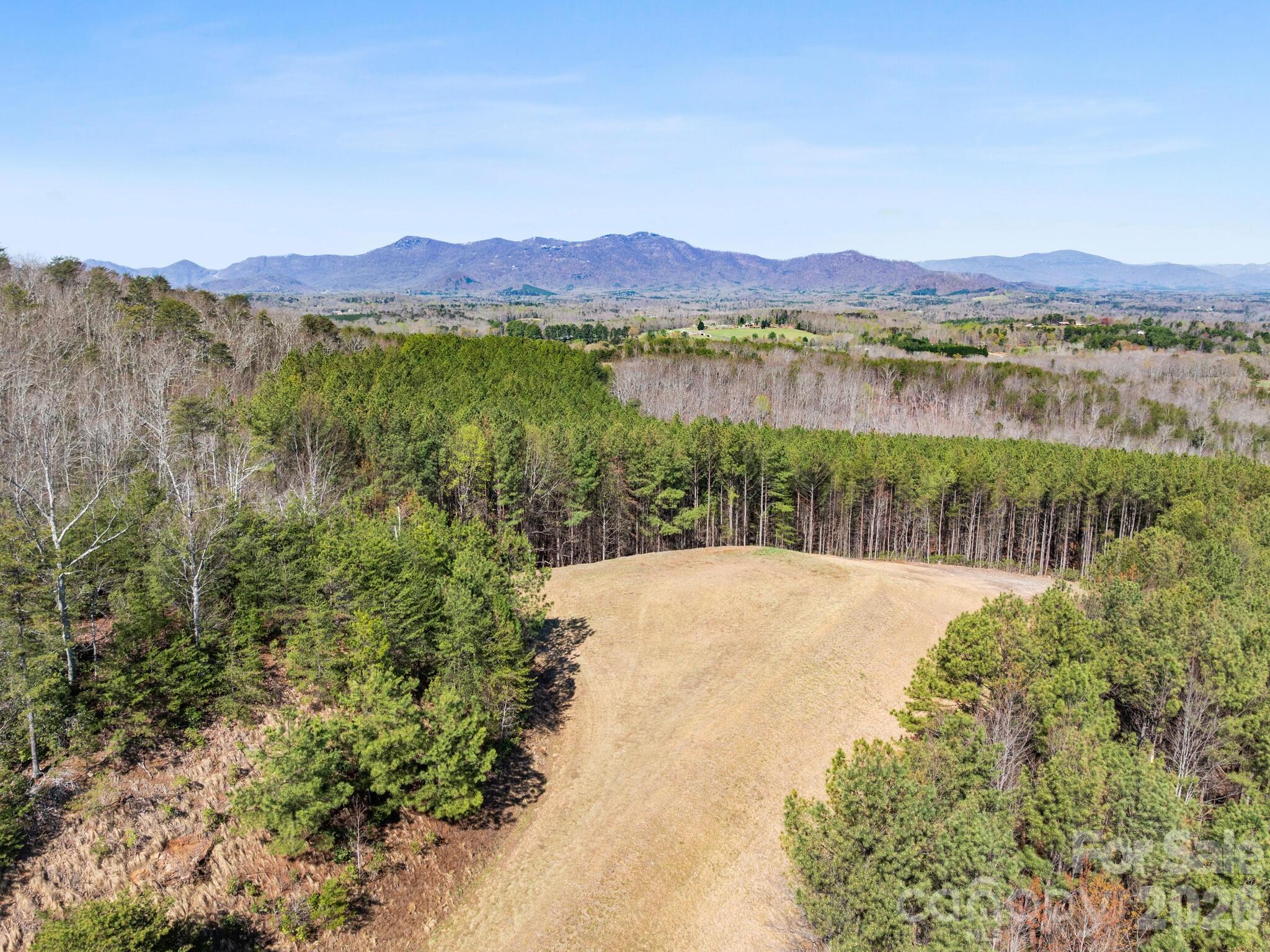 Tbd Williams Lp Trail Tryon, NC 28782 - Photo 23 of 30