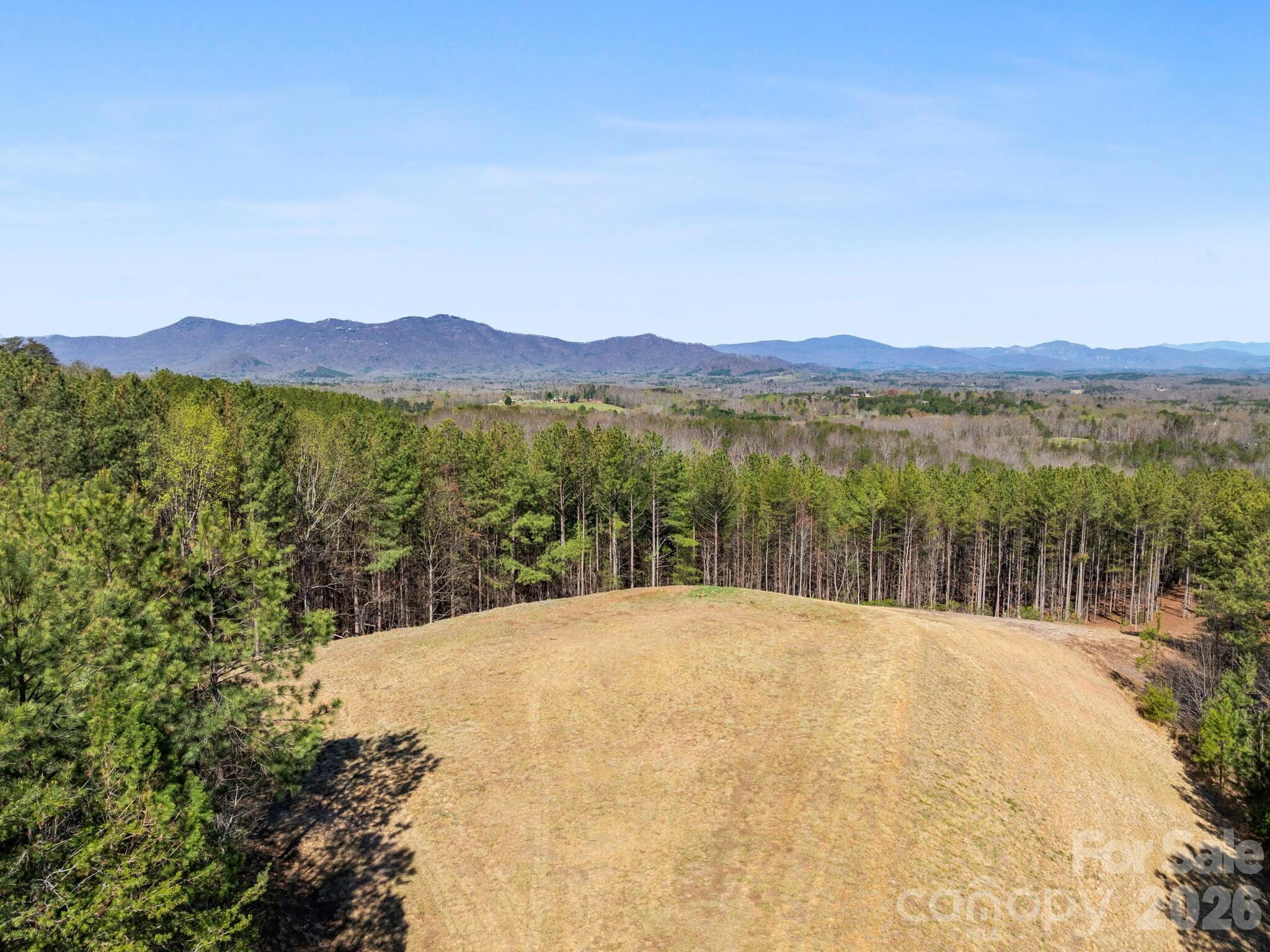 Tbd Williams Lp Trail Tryon, NC 28782 - Photo 24 of 30