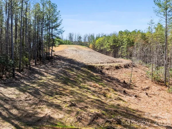 $400,000 | Tbd Williams Lp Trail, Tryon, NC 28782