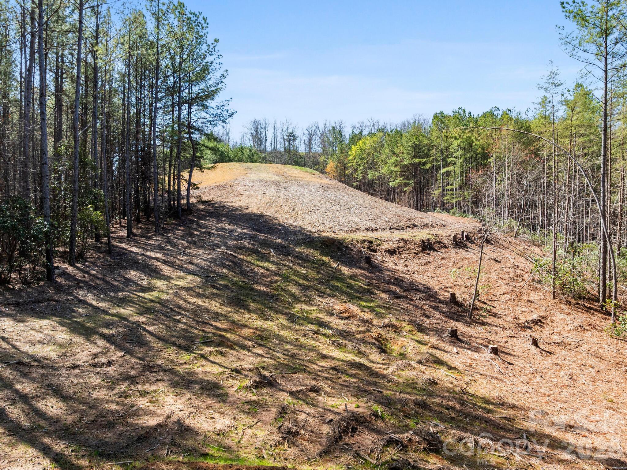 Tbd Williams Lp Trail Tryon, NC 28782 - Photo 26 of 30