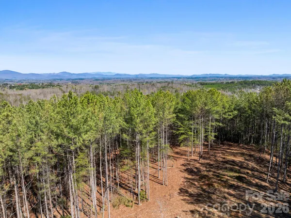 $400,000 | Tbd Williams Lp Trail, Tryon, NC 28782