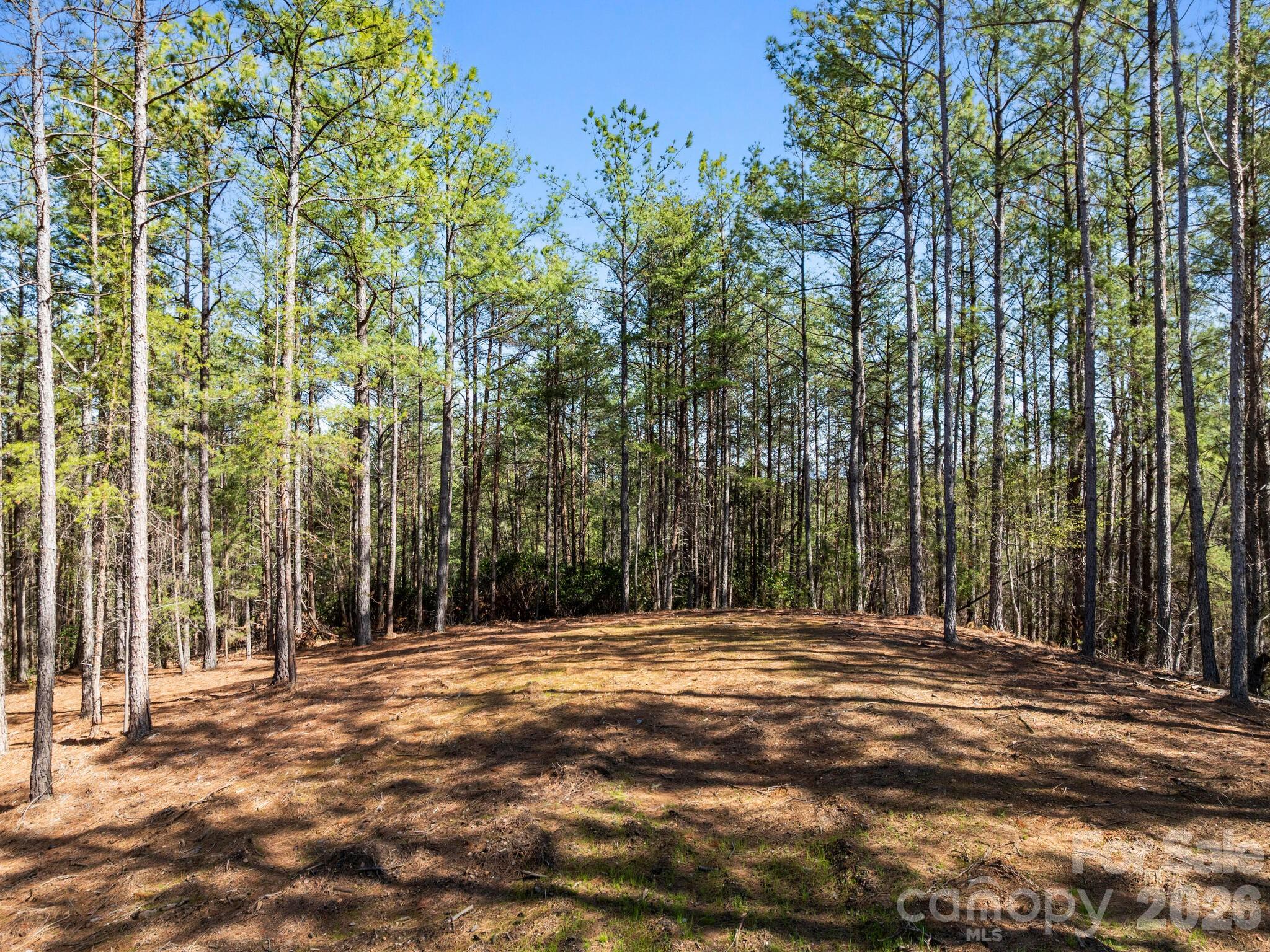Tbd Williams Lp Trail Tryon, NC 28782 - Photo 28 of 30