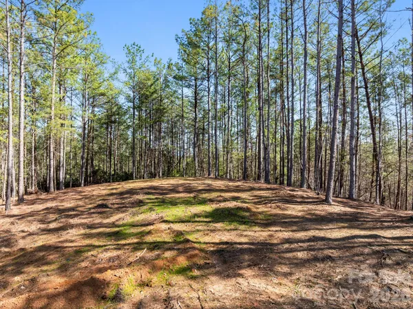 $400,000 | Tbd Williams Lp Trail, Tryon, NC 28782