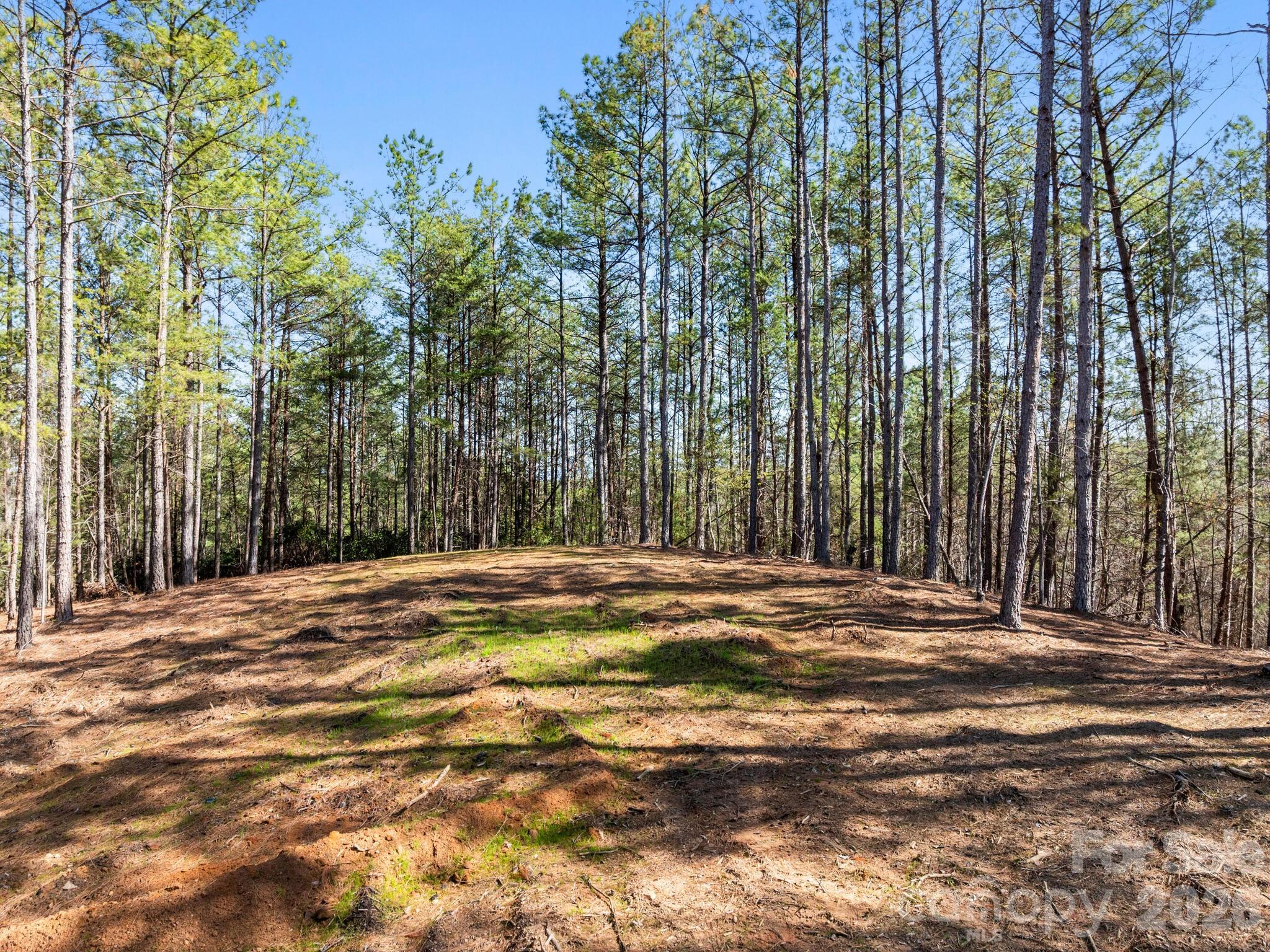Tbd Williams Lp Trail Tryon, NC 28782 - Photo 29 of 30
