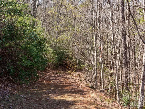 $400,000 | Tbd Williams Lp Trail, Tryon, NC 28782