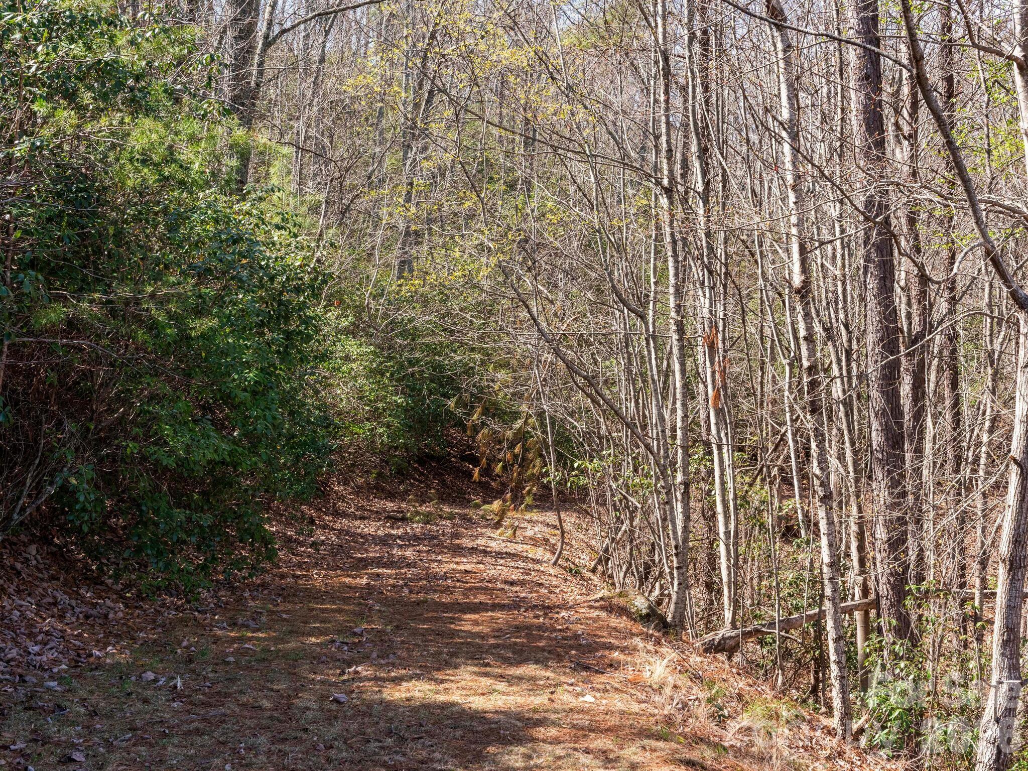Tbd Williams Lp Trail Tryon, NC 28782 - Photo 30 of 30