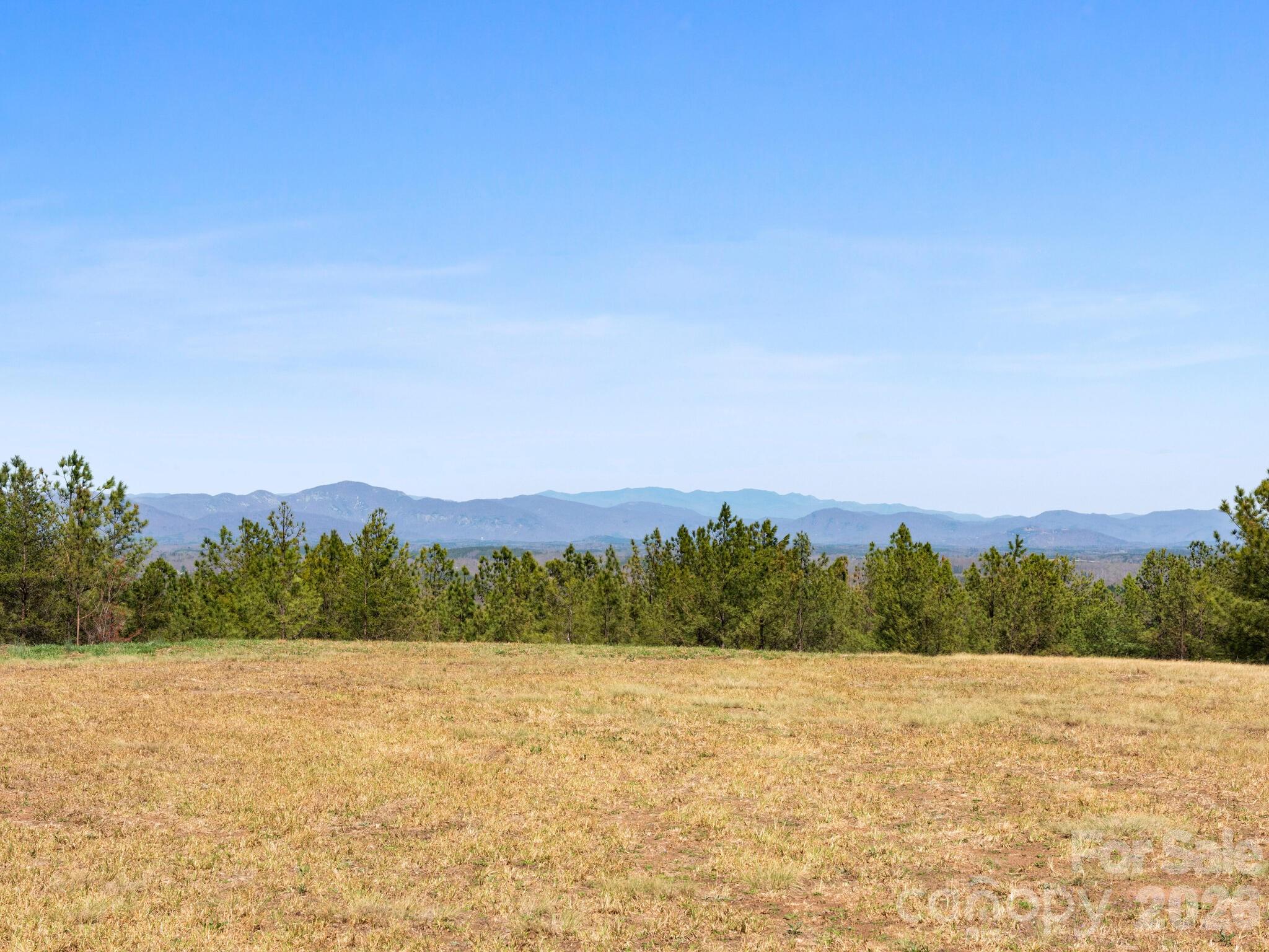Tbd Williams Lp Trail Tryon, NC 28782 - Photo 3 of 30