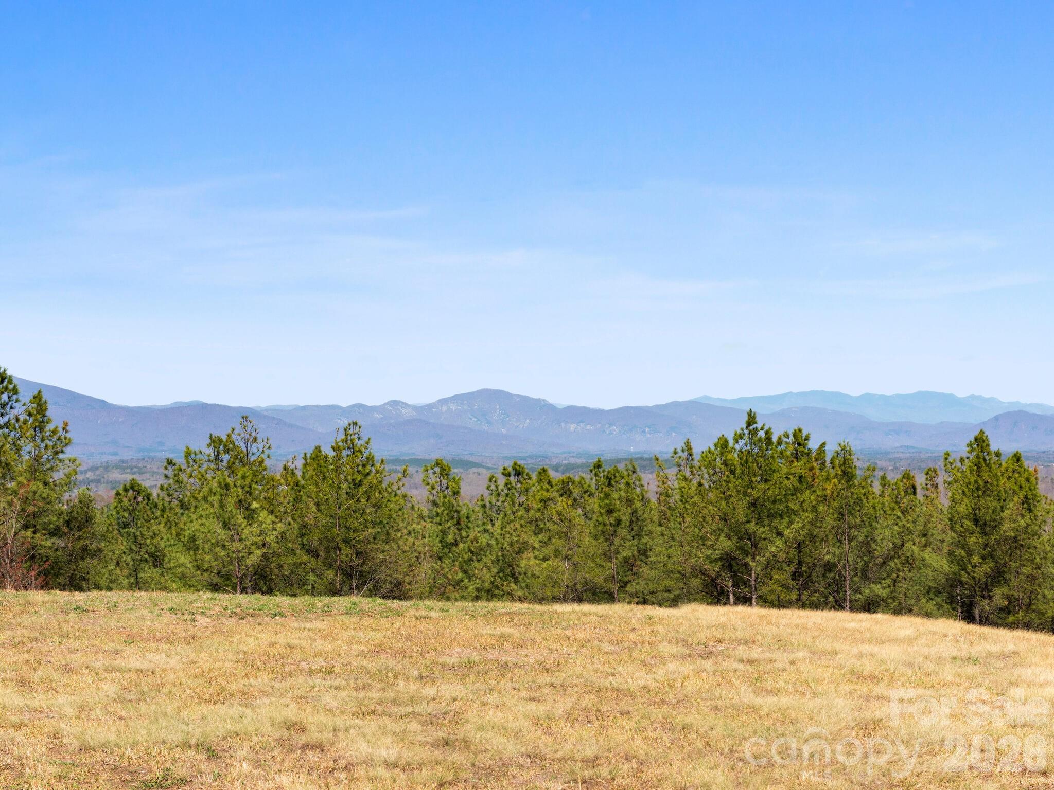 Tbd Williams Lp Trail Tryon, NC 28782 - Photo 4 of 30