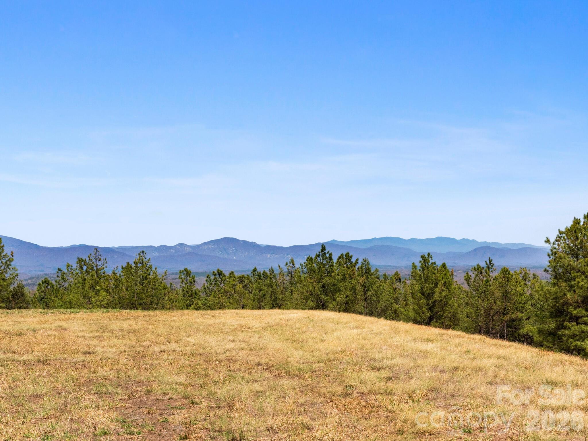 Tbd Williams Lp Trail Tryon, NC 28782 - Photo 5 of 30