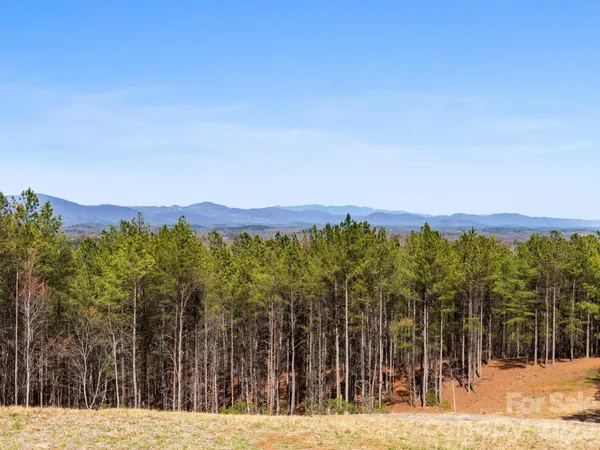 $400,000 | Tbd Williams Lp Trail, Tryon, NC 28782