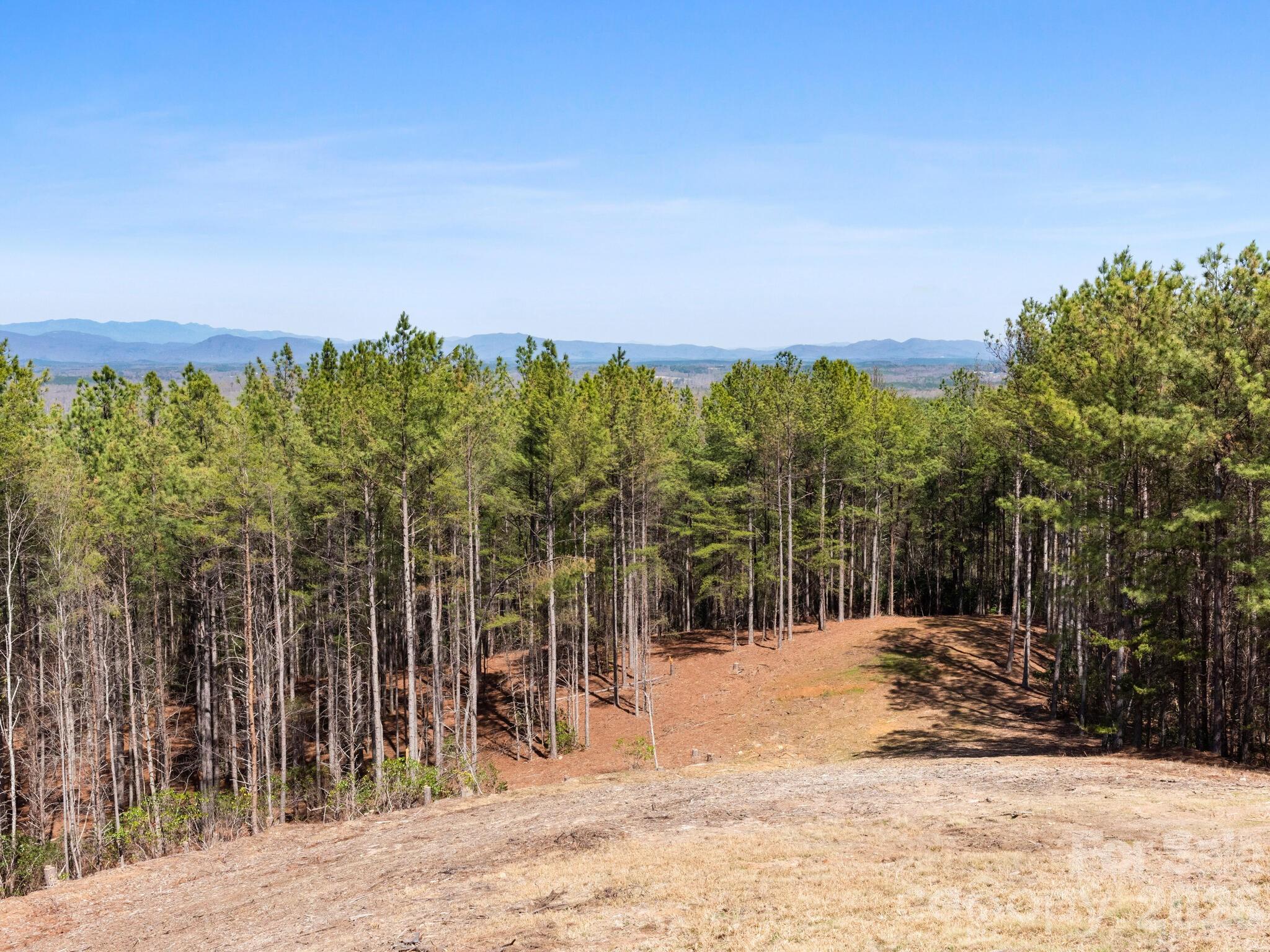 Tbd Williams Lp Trail Tryon, NC 28782 - Photo 10 of 30