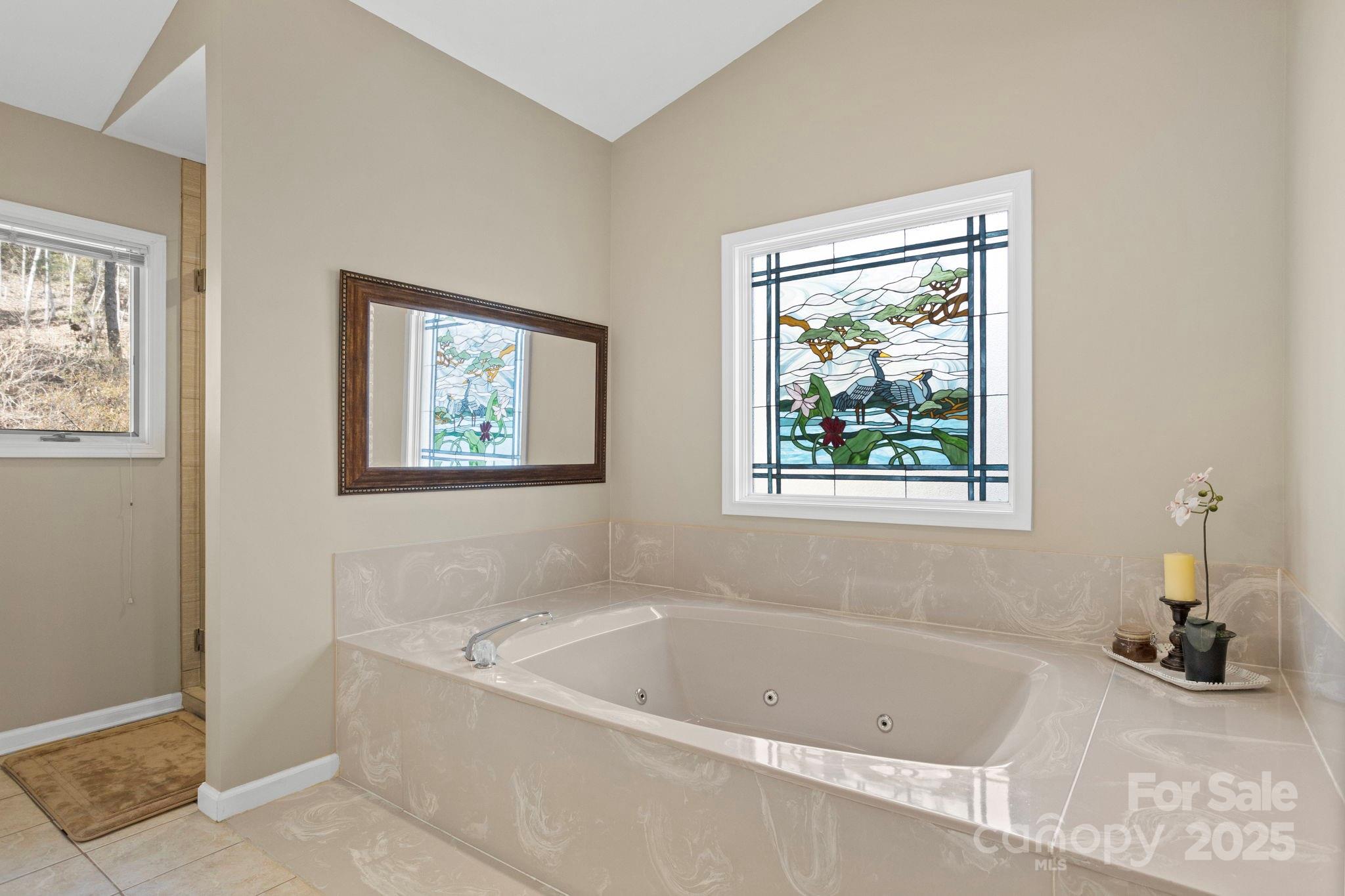 111 Continental Drive Flat Rock, NC 28731 - Photo 29 of 47