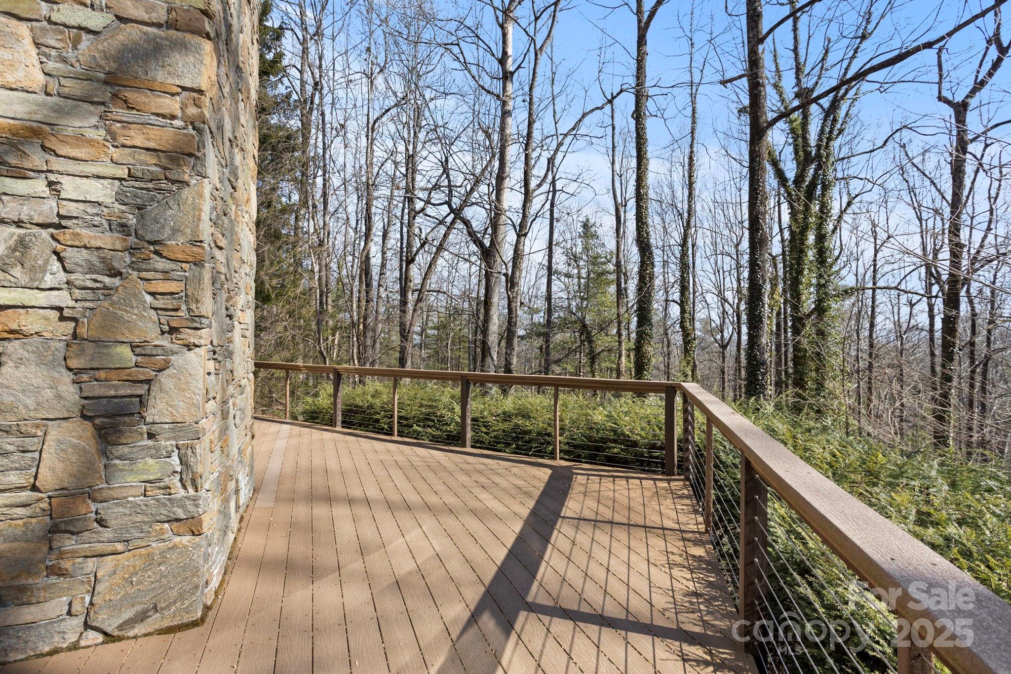 111 Continental Drive Flat Rock, NC 28731 - Photo 39 of 47