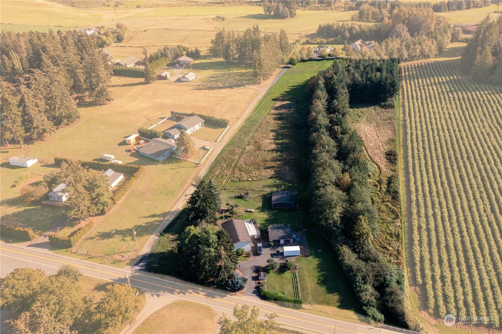 1015 Ten Mile Road Everson, WA 98247 - Photo 39 of 39 Gallery Image 39