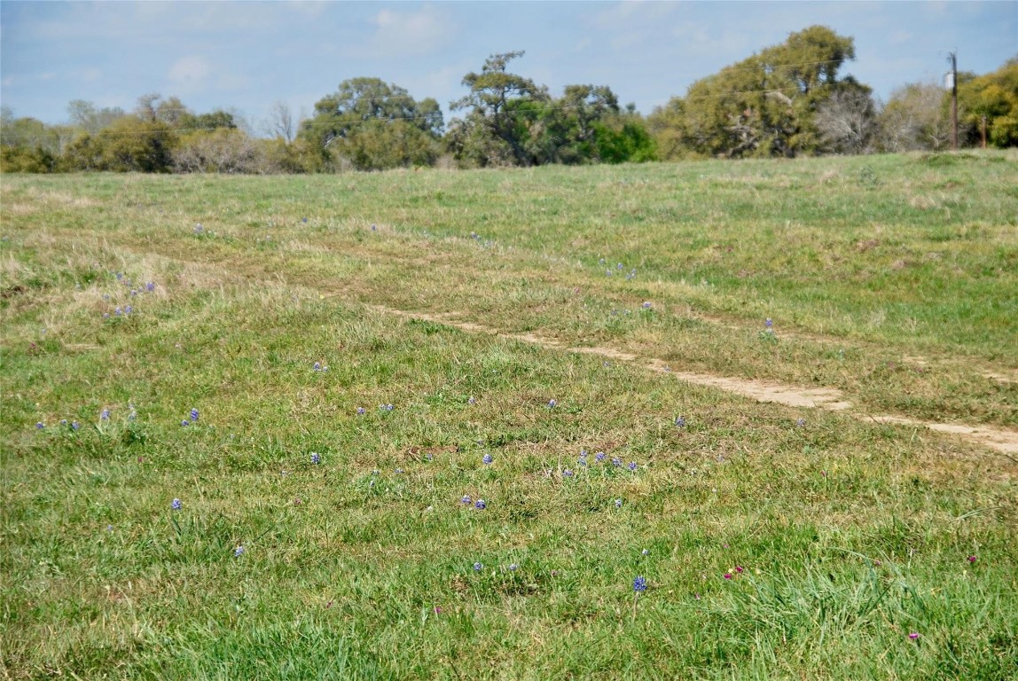494 County Road 217 Schulenburg, TX 78956 - Photo 14 of 39 a view of a field with trees in the background