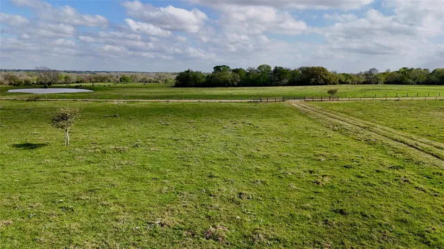 a view of a big yard with a large trees