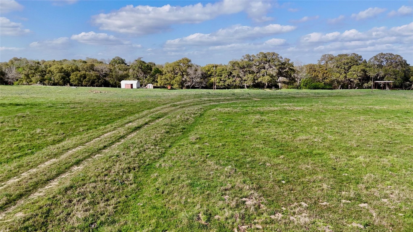 494 County Road 217 Schulenburg, TX 78956 - Photo 2 of 39 a view of a grassy field with trees in the background